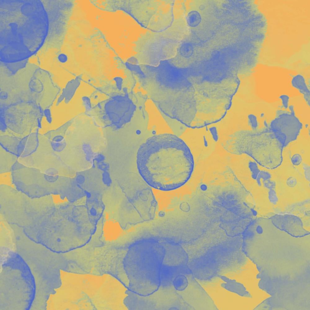 Blueberry Fiesta - Wardrob